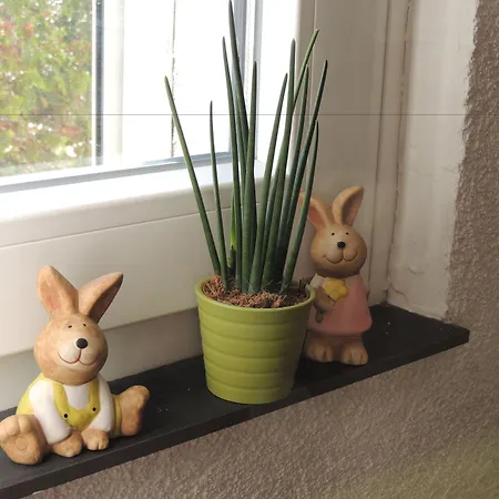 诺伊恩拉德旅馆 招待所 Neuenrade