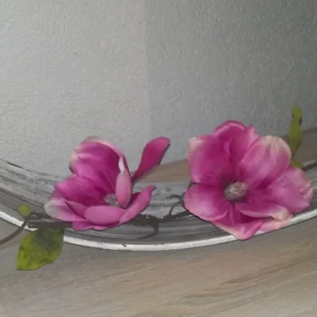 诺伊恩拉德旅馆 招待所